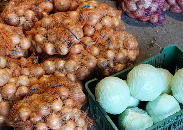 Grajewo ogłoszenia: Sprzedam: 
- cebulę 10 zł /10 kg  
- kapustę 80 gr /1kg...
